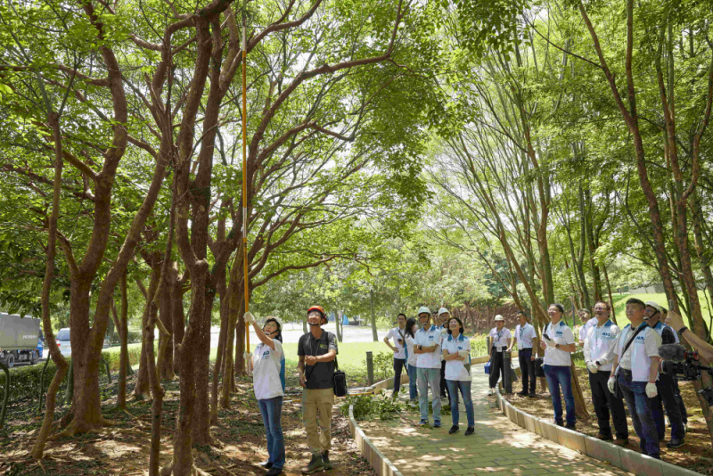 藝師教導大家認識樹木、檢查樹的健康狀況，學習修枝及碎枝覆土