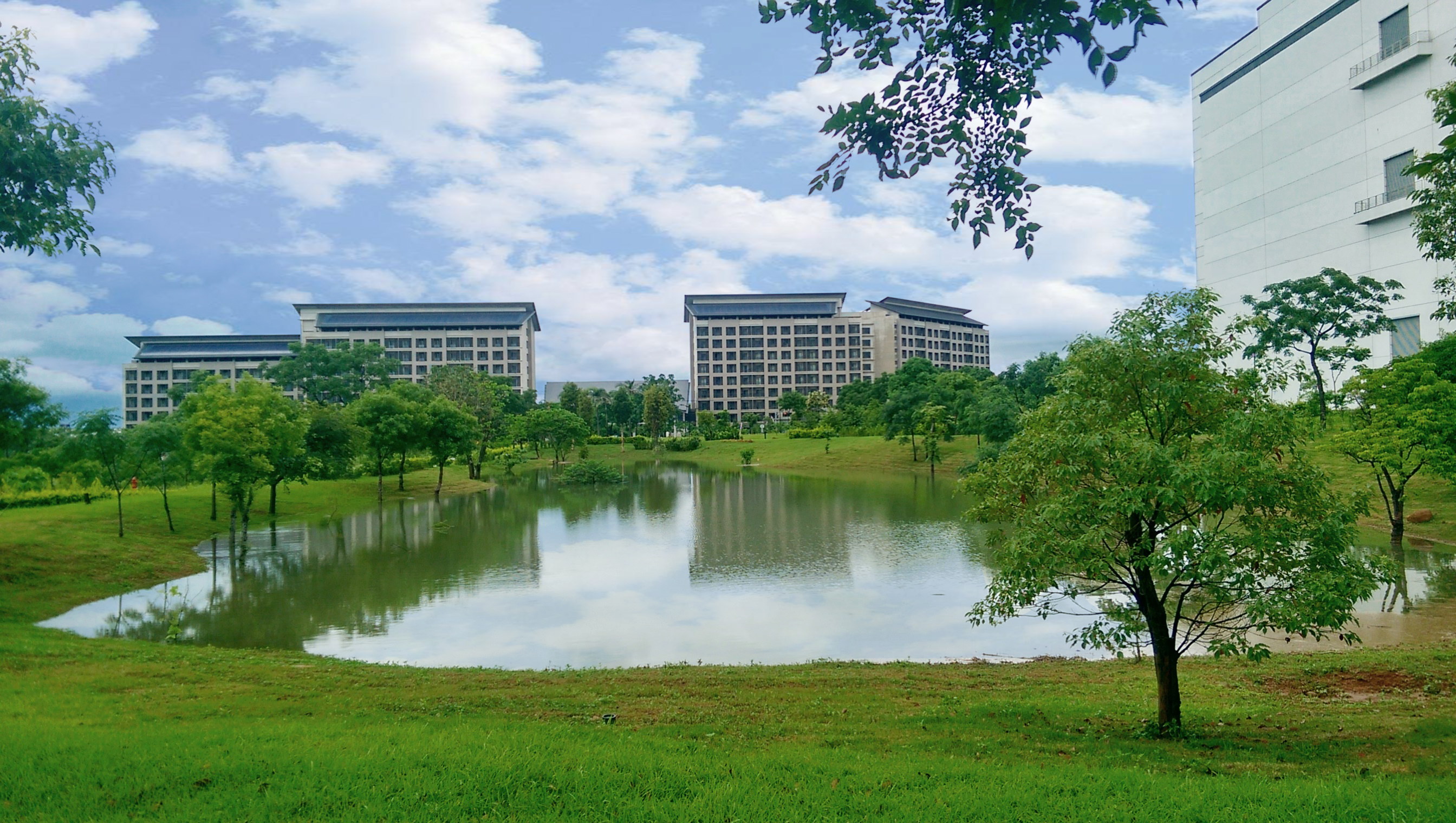 友達響應國際倡議生物多樣性趨勢，首次發布TNFD自然相關財務揭露報告書，擘劃及開展友達生物多樣性政策之承諾，逐步邁向與自然和諧共生。